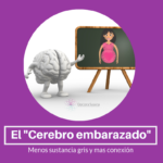 El «cerebro embarazado»